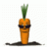 CARROT-The DESTROYER